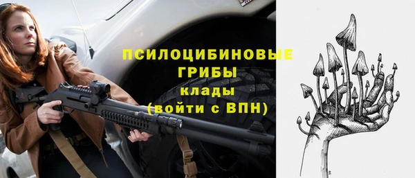 МДПВ Няндома