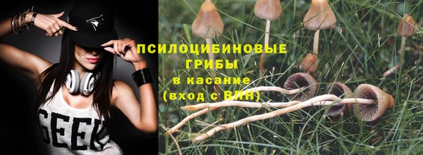 МДПВ Няндома