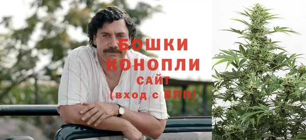 гидра Осинники