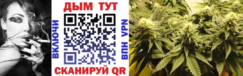 Канабис сатива  Красавино 