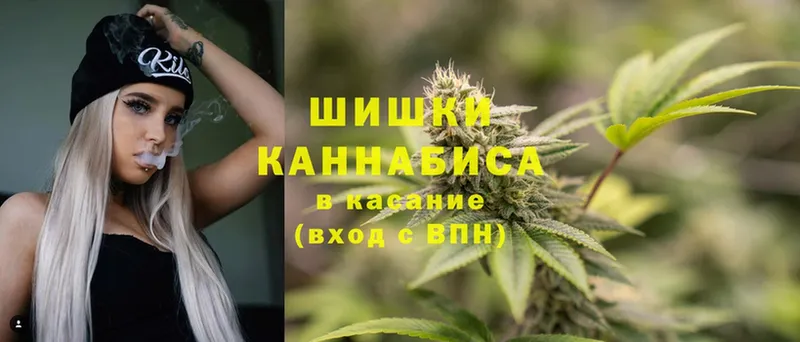 Канабис гибрид  Красавино 